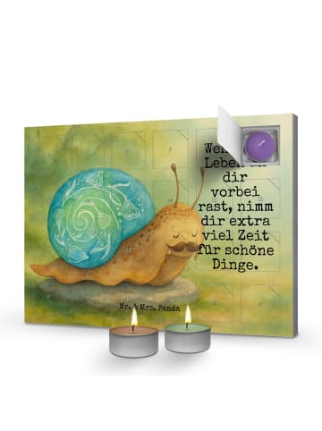 Mr. & Mrs. Panda adventskalender mit duftkerzen Schnecke Sir Des... in Weiß