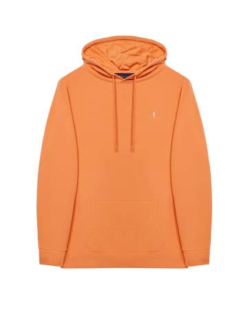 Polo Club SWEATSHIRT in Hellorange