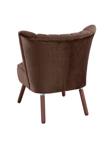 58 aufm Kessel SESSEL Kadisha Bezug Samtvelours Buche nussbaum dunkel / braun