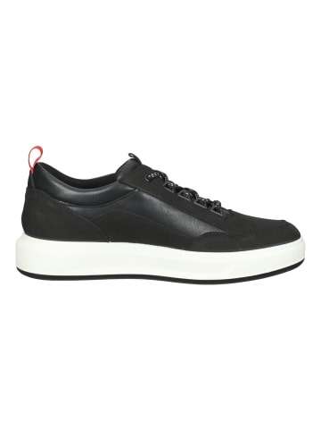 Fretz Men Sneaker in Schwarz