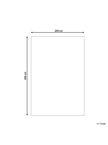 Beliani Shaggy CIDE in Beige - (W) 200 x (H) 7 x (L) 300 cm