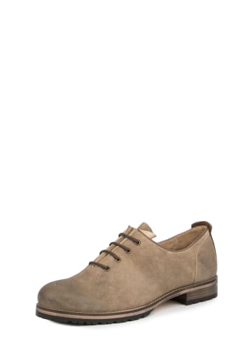 Stockerpoint Stockerpoint Trachtenschuh, moderner Trachtenschuh, Lederschuh, Wildlederschuh Caruso in sand gespeckt