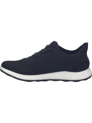 Josef Seibel Sneaker Clint 01 in schwarz