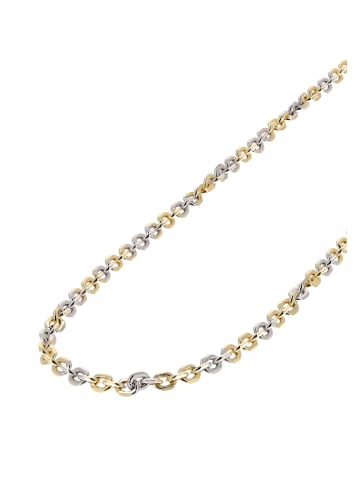 faina Women Chain Necklace in Gold Silver