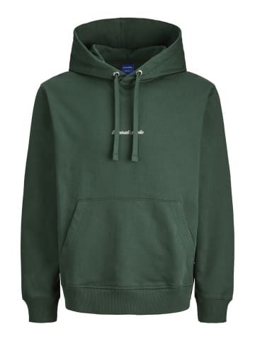 Jack & Jones Sweatshirt JORNORREBRO EMB SWEAT HOOD in Grün