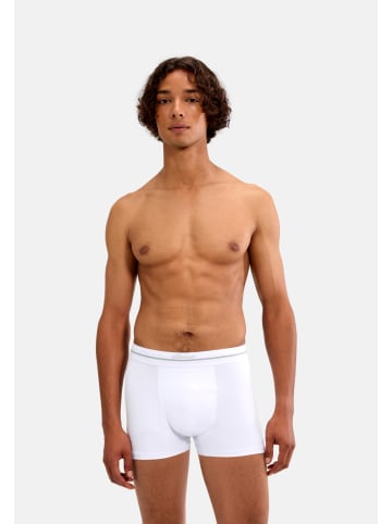 ellesse Trunks 'Ambria' 3er Pack in mehrfarbig
