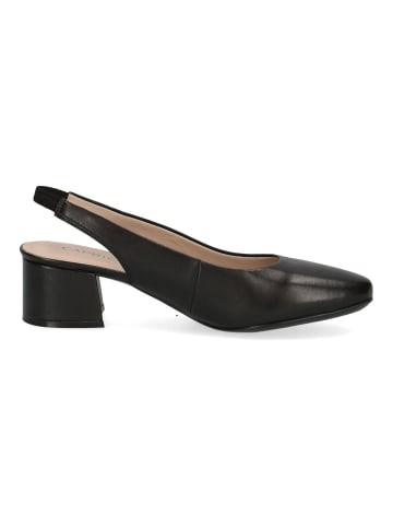 Caprice Pumps in Schwarz