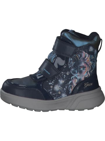 Geox Stiefeletten in NAVY/PLATINUM