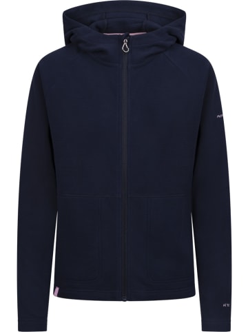 Trespass Fleecejacke/Fleecepullover "Nolans At100 Fleece" in Blau