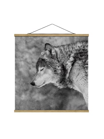 WALLART Stoffbild mit Posterleisten - Winter Wolf in Schwarz-Weiß