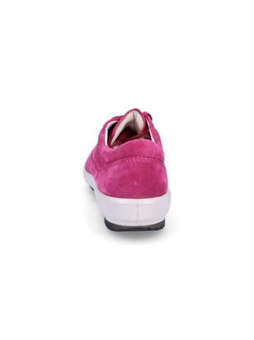 Legero Sneaker Tanaro 5.0 in Pink