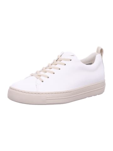 Paul Green Schnürschuhe in cream