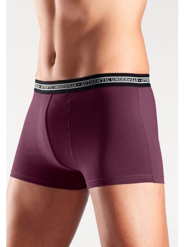 AUTHENTIC UNDERWEAR Boxer in blau, petrol, anthrazit-meliert, bordeaux