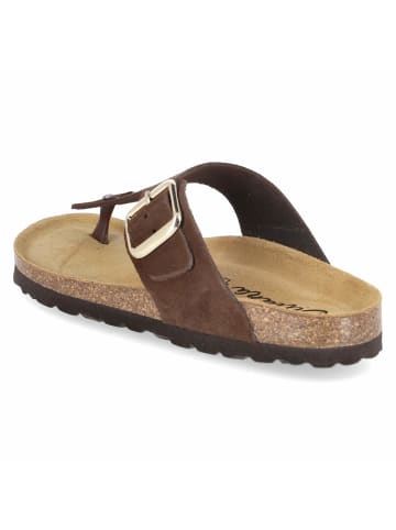 Beliana Pantolette in brown