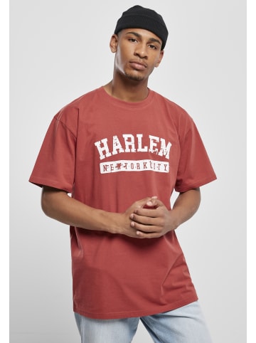 Southpole Southpole T-Shirts in brick red