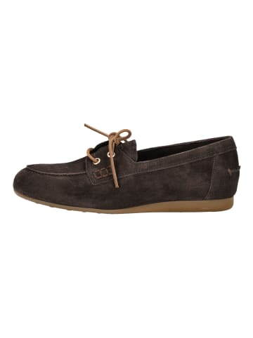 Paul Green Halbschuhe in Mocca
