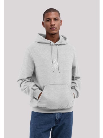 F4NT4STIC Hoodie Knut & Jan Scribble Logo in grau meliert