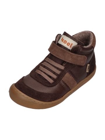 KOEL Sneaker High DANIEL 3.0 SUEDE in braun