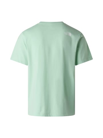 The North Face Evolution Half Dome Regular T-Shirt in Mint