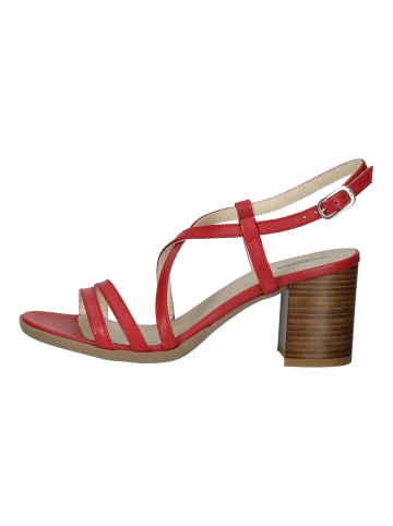 Nero Giardini Sandalen in Rot