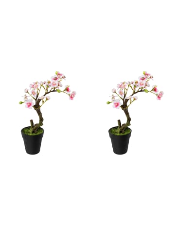 Creativ green 2er Set: Deko-Mandelbonsai im Topf