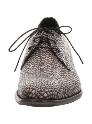 Floris van Bommel Schnürschuhe in grau
