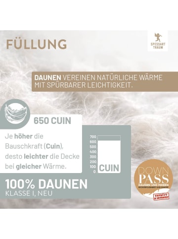 Spessarttraum Extra warme Winter-Daunendecke "Silber" in weiß