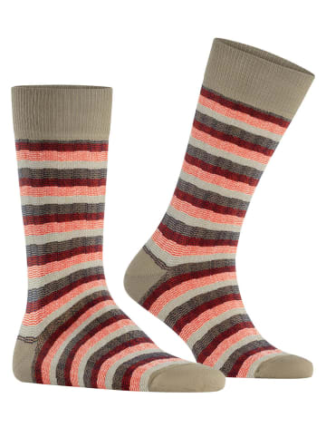 Burlington Socken Signature Stripe in Desert sand