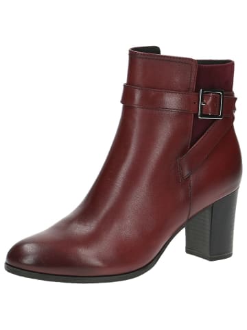 Caprice Stiefelette in BORDEAUX COMB