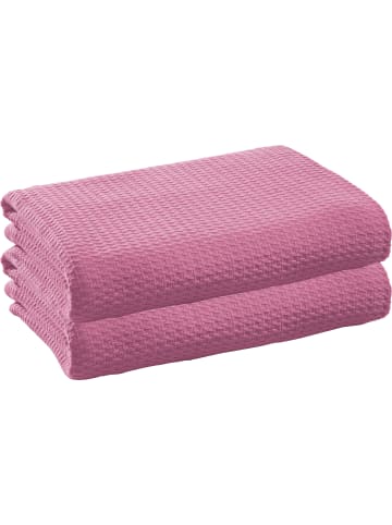 Erwin Müller Baumwolle Sommerdecke 2er-Pack Siena in orchidee