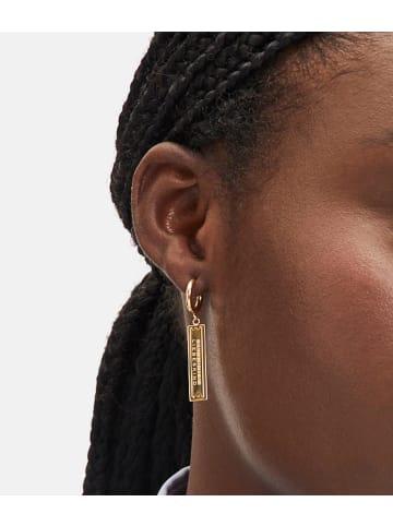 LIEBESKIND BERLIN Ohrhänger Secure Tag Icon in gold