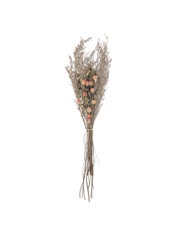Beliani Trockenblumenstrauß AZUEL in /Grün/Orange - (W) 15 x (H) 65 x (L) 6 cm