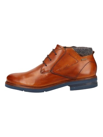 Daniel Hechter Stiefelette in Cognac