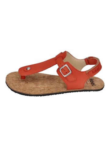 KOEL Sandalen ARIANA in orange