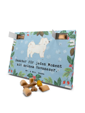 Mr. & Mrs. Panda Hunde Adventskalender Havaneser Moment mit Spruch in Eisblau