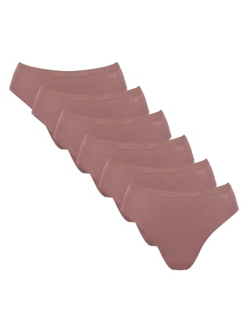 Sloggi Slip 6er Pack in Braun