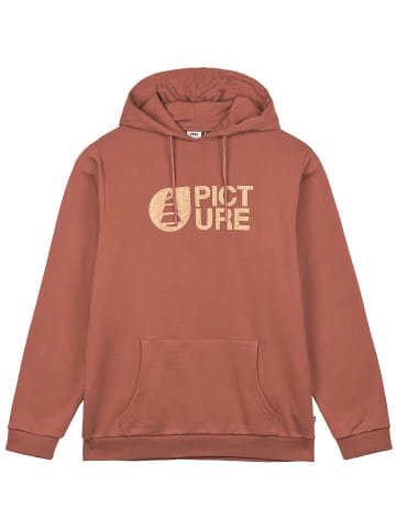 PICTURE M BASEMENT CORK HOODIE