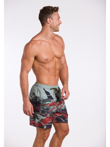wavebreaker Shorts in grün