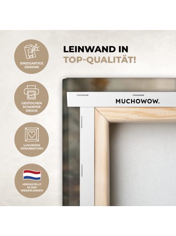 MuchoWow Leinwand bilder Löwe (BxH)