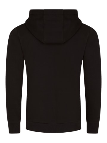 DENIMFY Pullover DFBenno in Schwarz