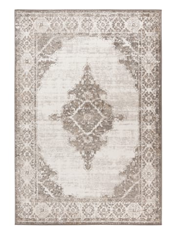 Vivorum Wohnzimmer Kurzflor Teppich Catcher 425 in silber - beige