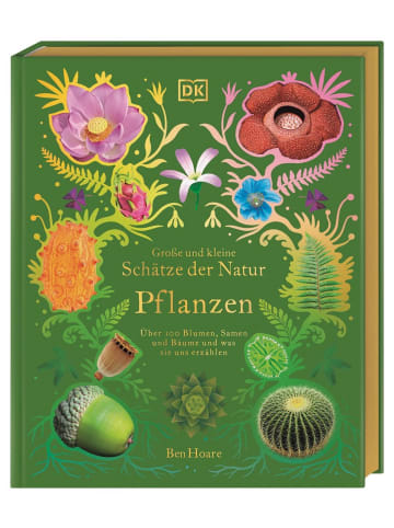 Dorling Kindersley  Große und kleine Schätze der Natur. Pflanzen | Über 100 Blumen, Samen und...