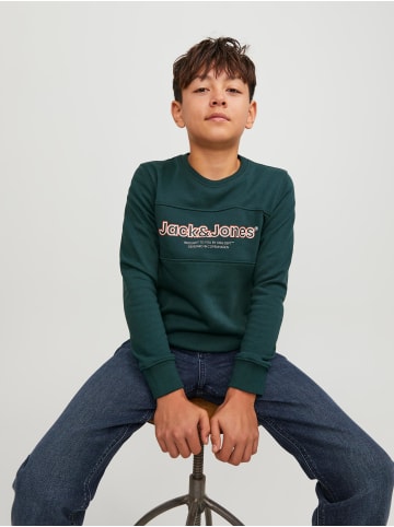 JACK & JONES Junior Sweatshirt in magical forest