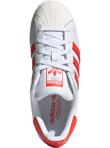 adidas adidas Turnschuhe in footwear white/cloud white/bright red