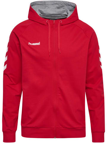 Hummel Hummel Cotton Kapuzenpullover Hmlgo Multisport Herren in TRUE RED