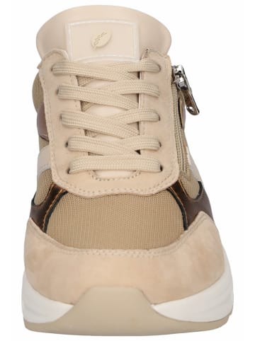 WALDLÄUFER Freizeit Schnürer für Damen in beige