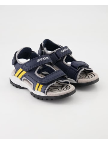 Geox Sandalen in Blau