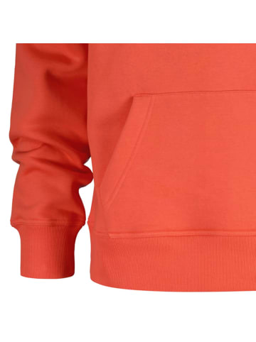 Gant Sweatshirt in Orange