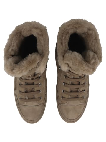 Candice Cooper Sneaker high VANCOUVER FUR in grau