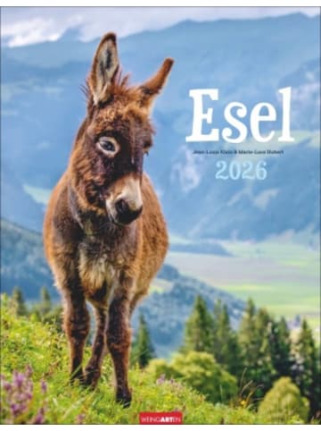 Weingarten Kalender - Esel Kalender 2026